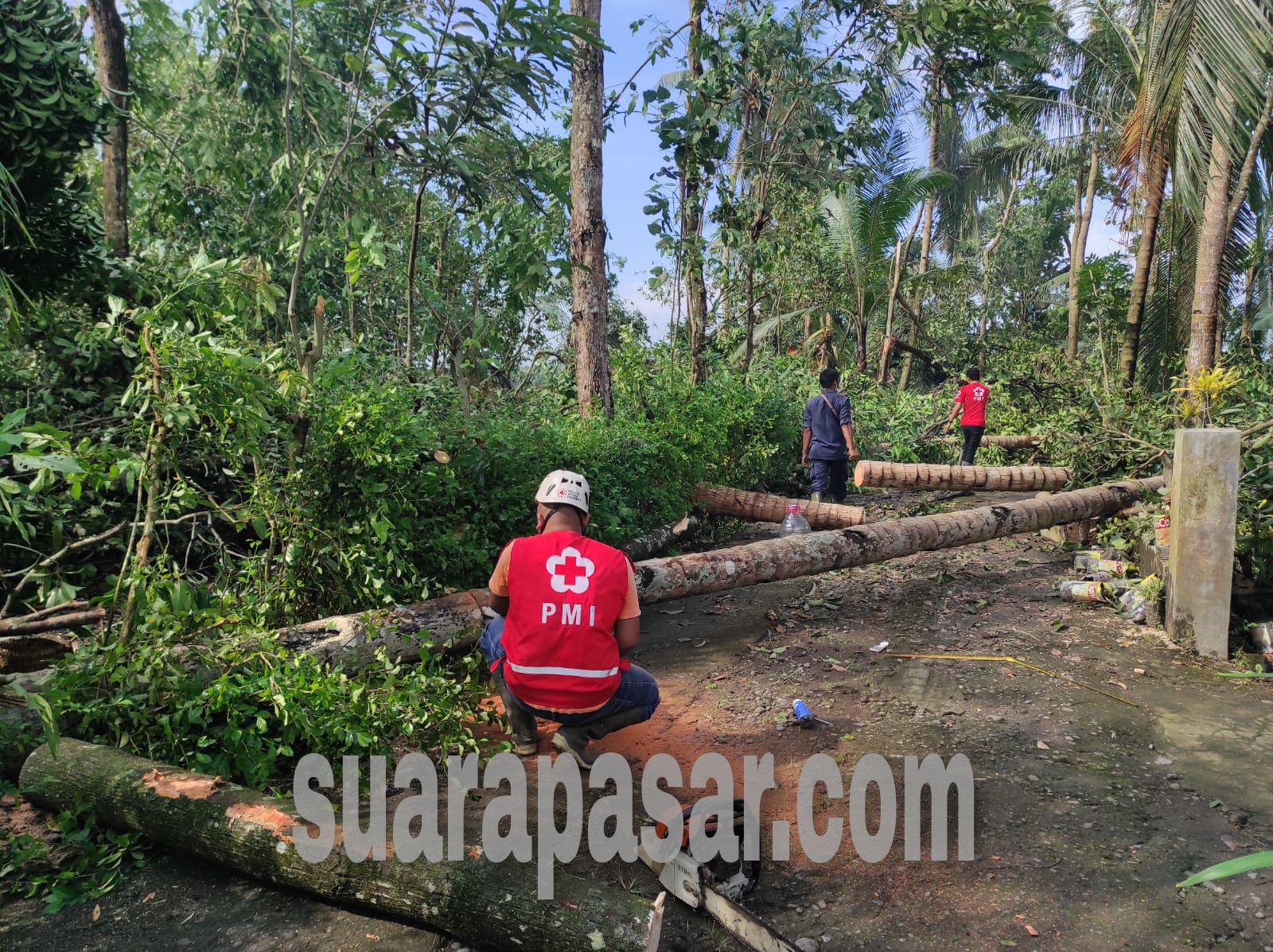 Dua Kapanewon di Kulon Progo Diterjang Angin Puting Beliung