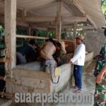 Vaksinasi PMK Pada Sapi Oleh Dinas Peternakan Kulon Progo dan BPP Nanggulan di Wilayah Tanjungharjo Nanggulan