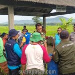 Babinsa Triharjo Laksanakan Pendampingan Penyemprotan Massal Tanaman Padi di Bulak Sawah Seworan