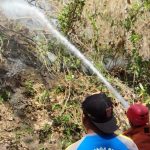 Tim Gabungan Berhasil Padamkan Kebakaran Lahan Di Kluwih Pendoworejo Girimulyo