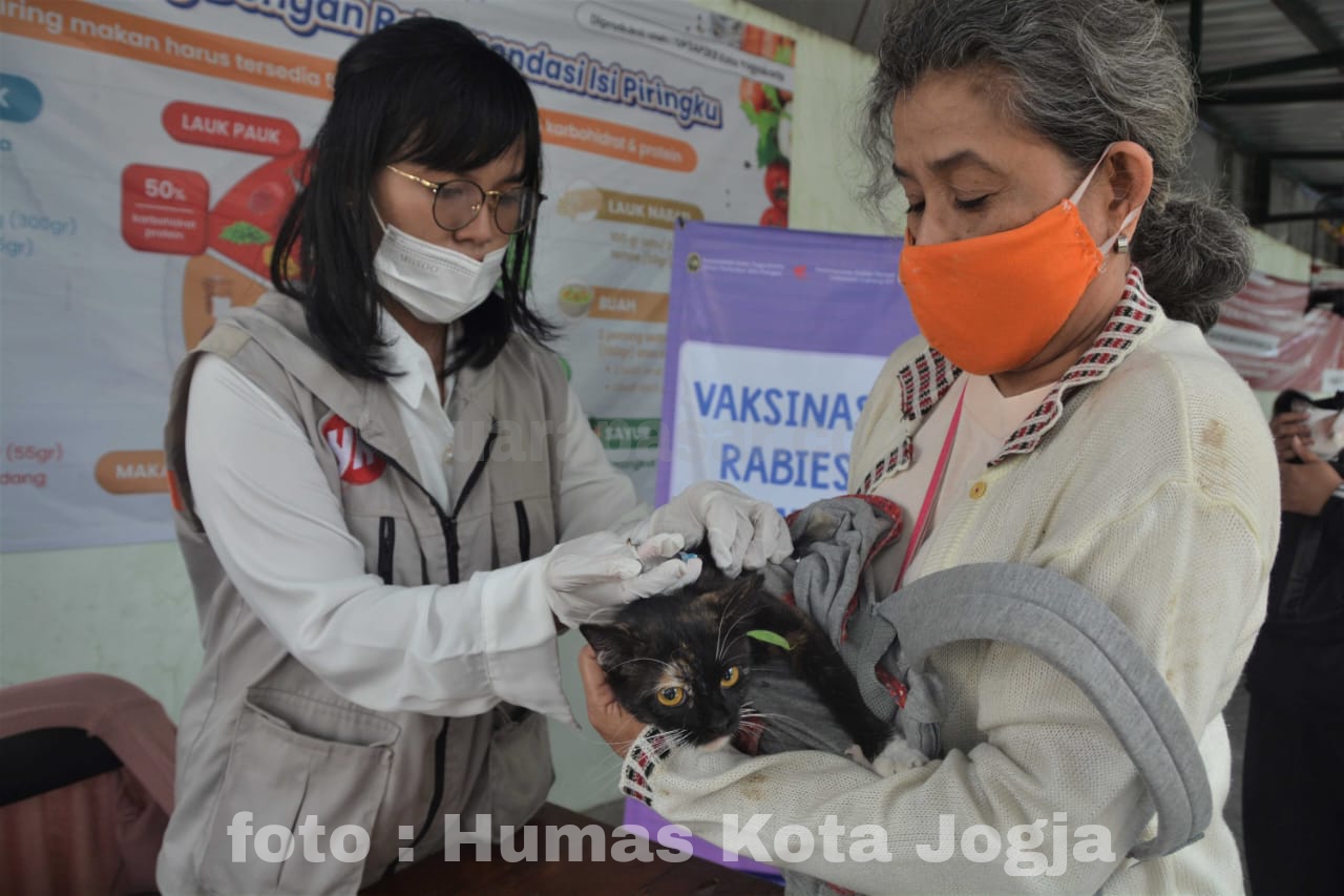 Tak Ingin Kena Rabies, Warga Yogyakarta Antusias Manfaatkan Vaksin Rabies Gratis