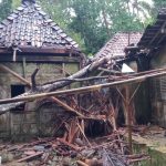 Babinsa Kalirejo Bantu Pengkondisian Pohon Tumbang yang Menimpa Dua Rumah Warganya