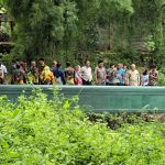 WhatsApp Image 2026-01-24 at 11.34.26